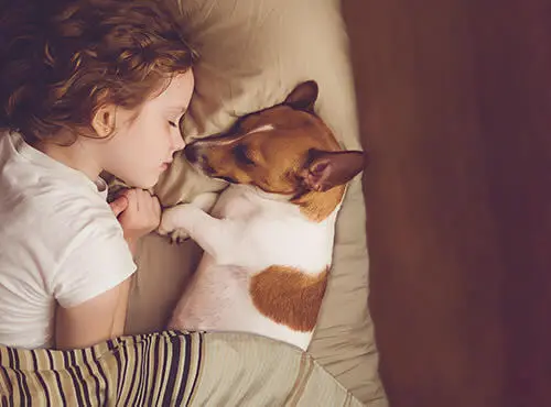 Ein Kind und ein kleiner Hund schlafen entspannt, dank effektiver Schalldämmung im Kinderzimmer.